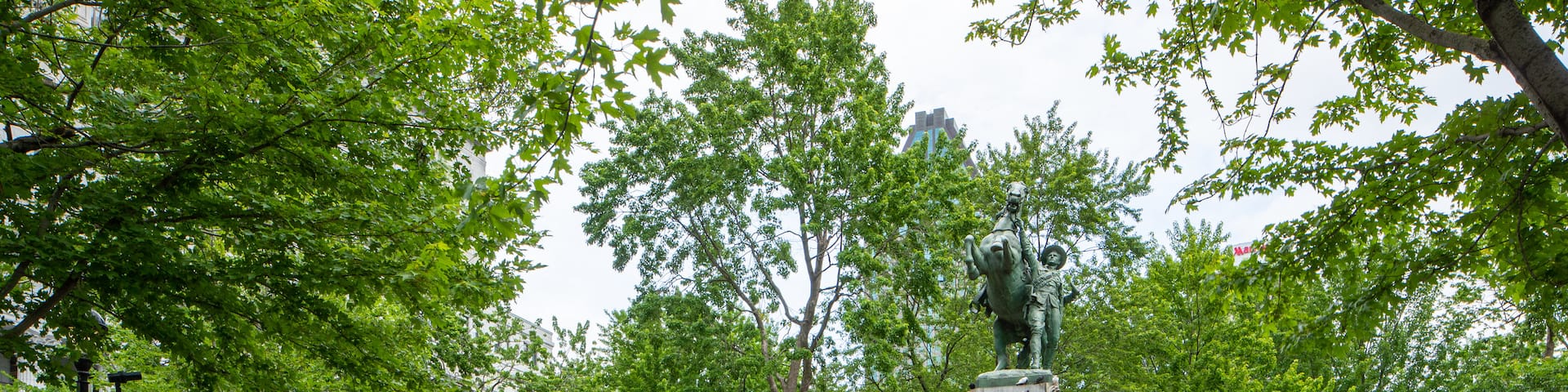 Downtown Montreal showing a statue or sculpture, a park and flowers