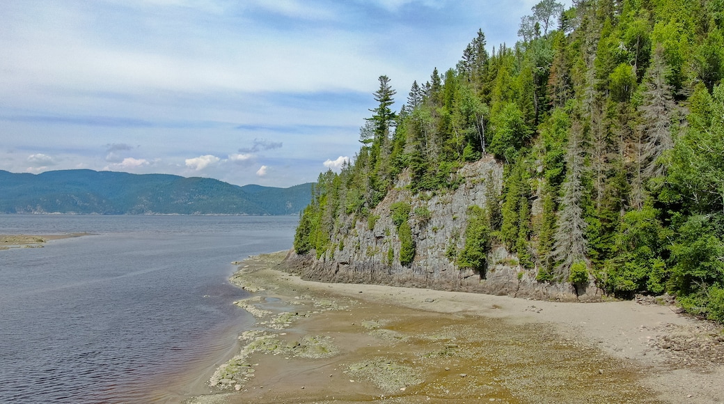 Petit-Saguenay showing a beach and a river or creek
