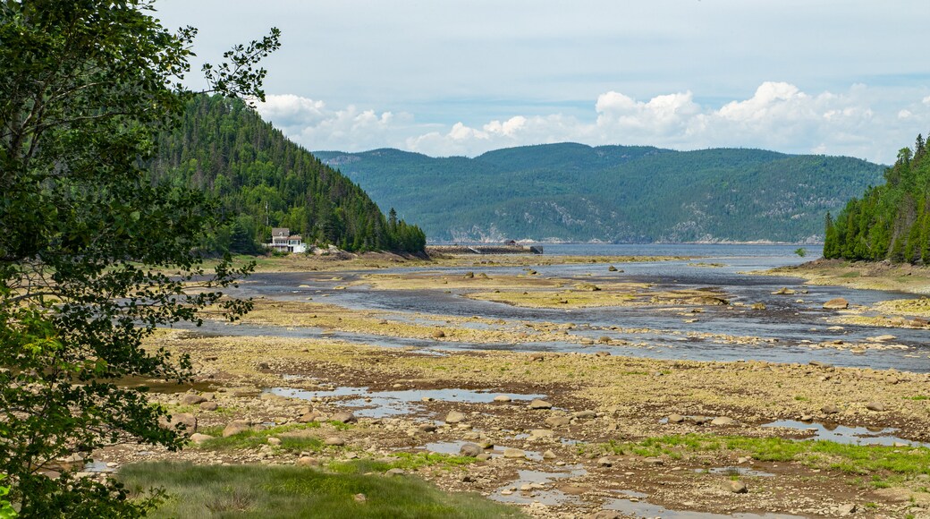 Petit-Saguenay showing a river or creek