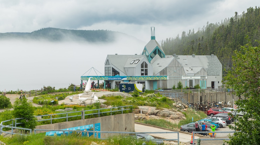 Centre d\'Interprétation des Mammiféres Marins showing mist or fog