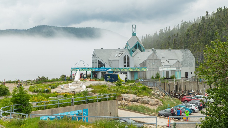 Centre d\'Interprétation des Mammiféres Marins showing mist or fog