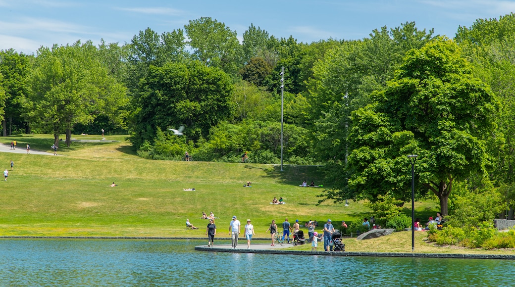 Mont Royal