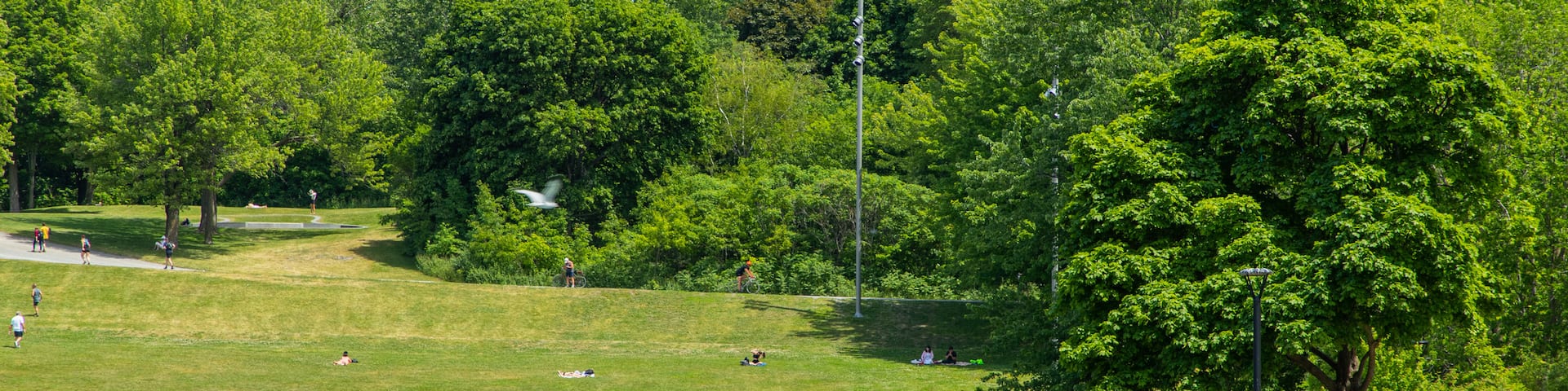 Mont-Royal featuring a pond and a garden