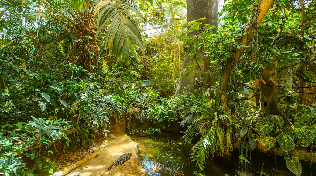 Montreal Biodome