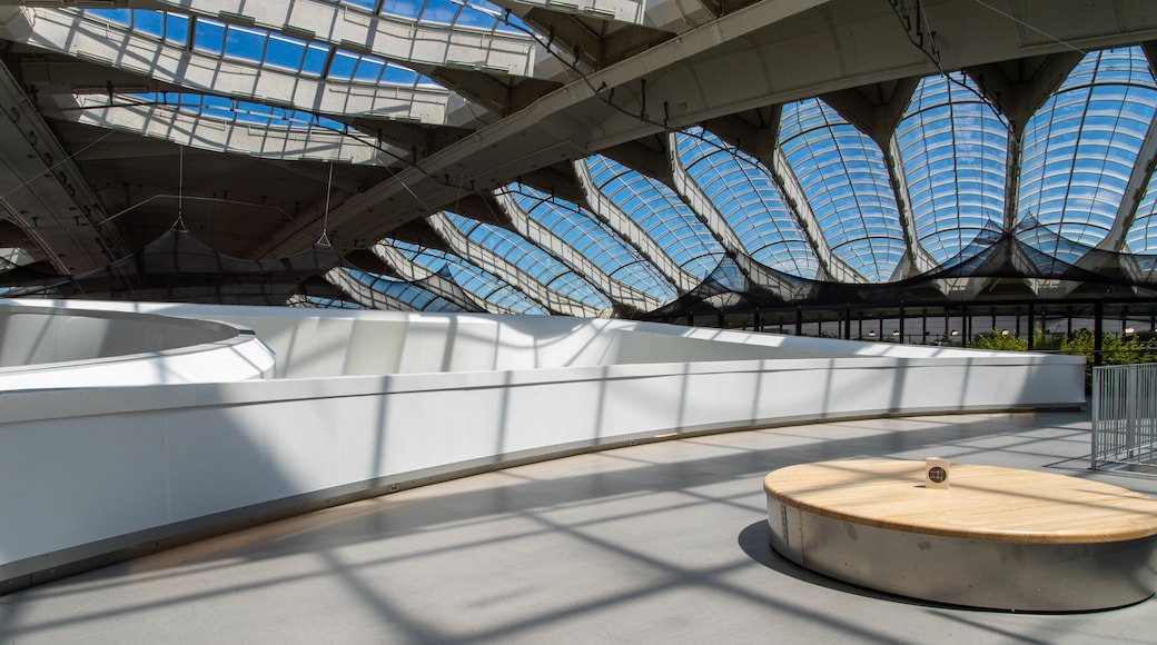 Montreal Biodome showing interior views