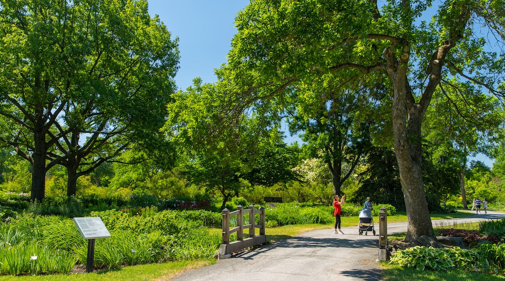 Montreal Botanical Garden showing a park as well as a family