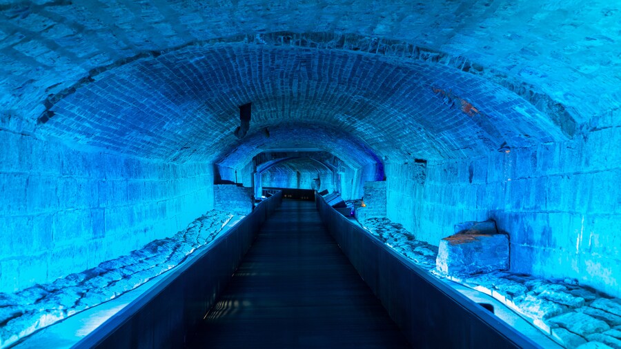 Illuminated underground archaeological site at Pointe-à-Callière Museum in Montreal.