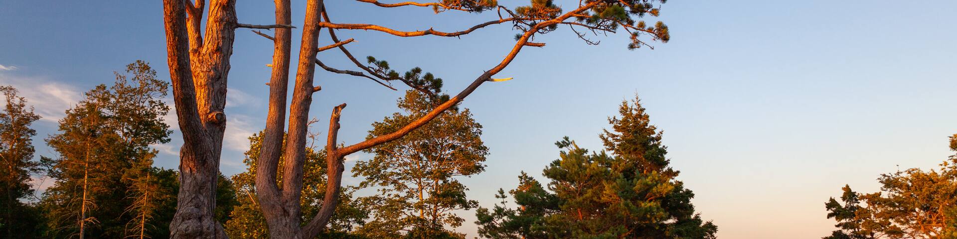 Point Pleasant Park featuring a garden and a sunset
