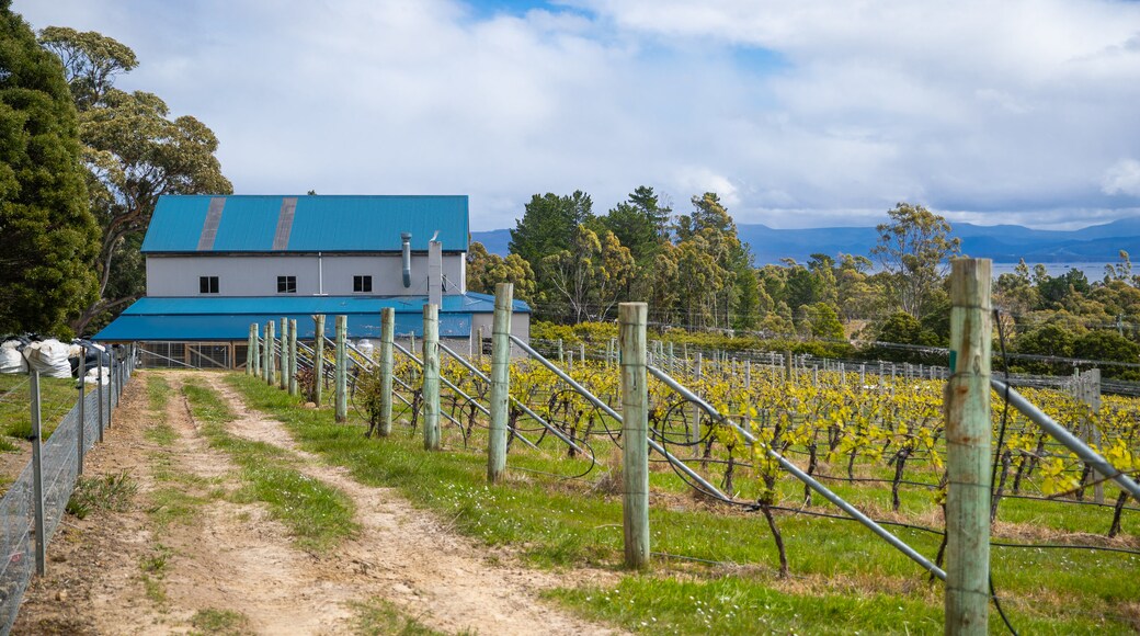 Bruny Island Premium Wines featuring farmland