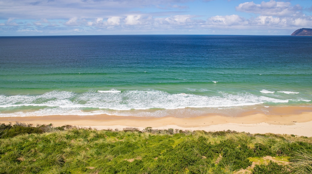 Parc national de South Bruny