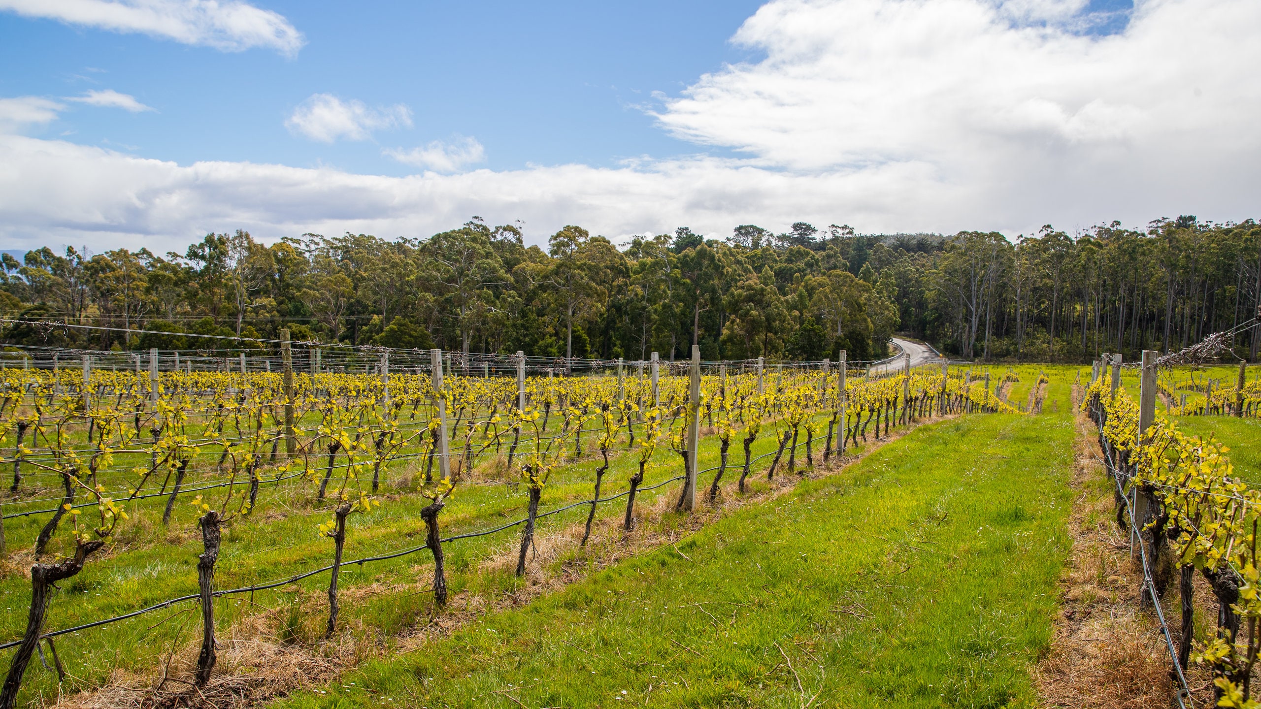 Bruny Island Premium Wines, Lunawanna Vacation Rentals house rentals