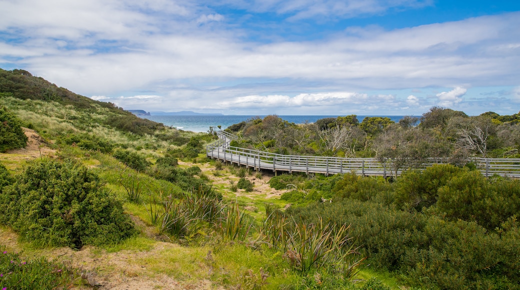 Parc national de South Bruny