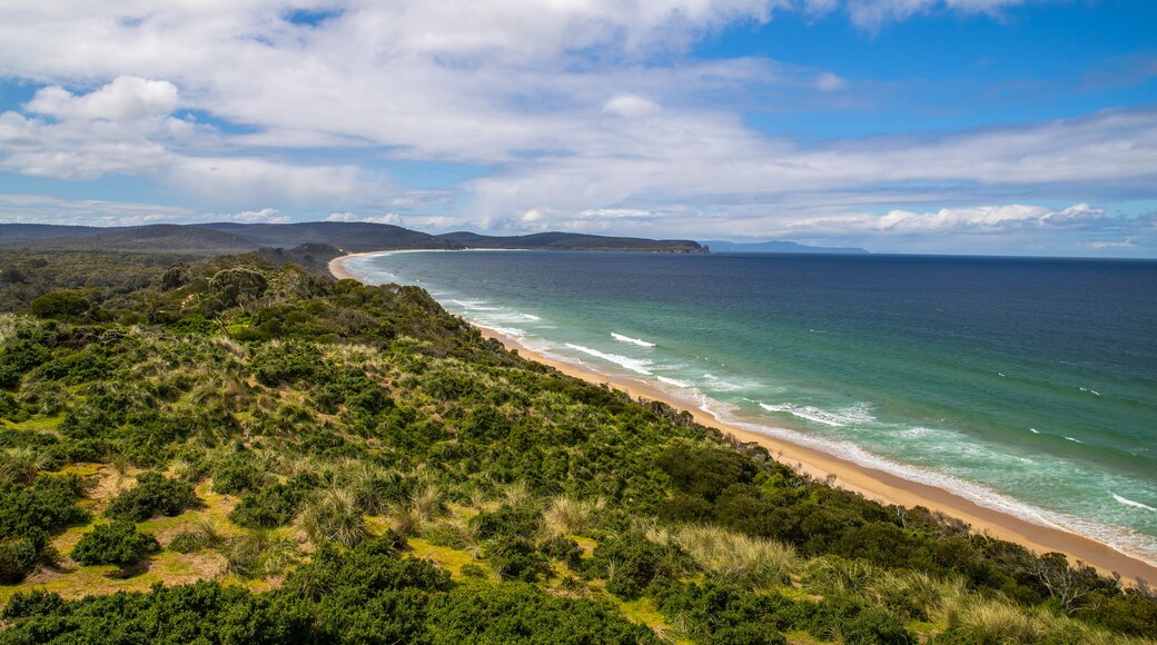 Bruny Island Neck Game Reserve