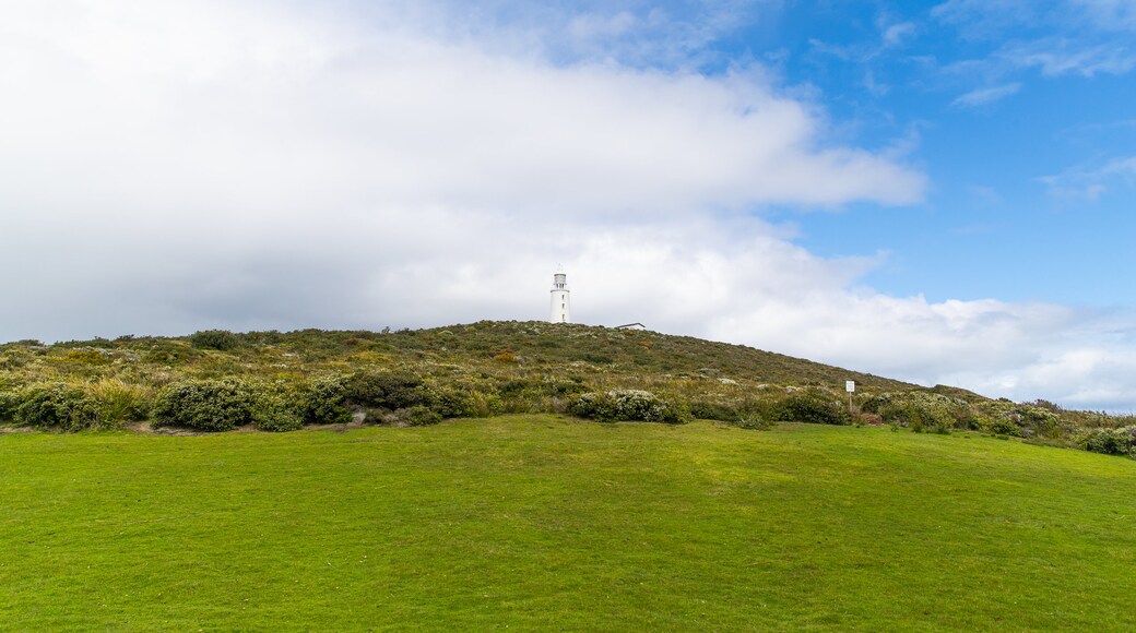 Cape Bruny Lighthouse showing a lighthouse