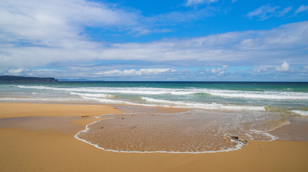 Bruny Island Neck Game Reserve which includes general coastal views and a sandy beach