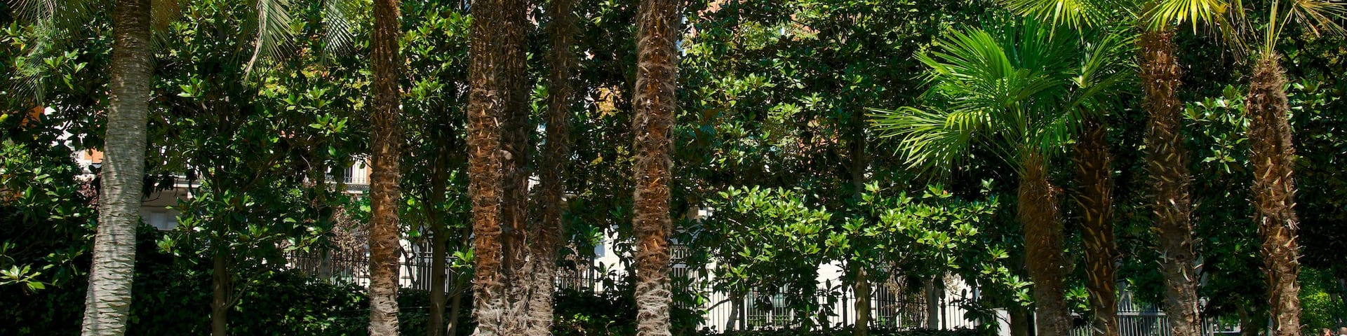 Thyssen-Bornemisza Museum showing a park
