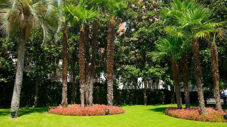 Thyssen-Bornemisza Museum which includes a garden
