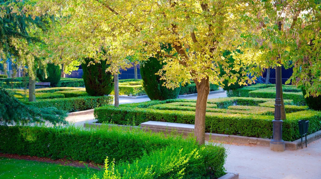 Koninklijk paleis toont een park en een kasteel