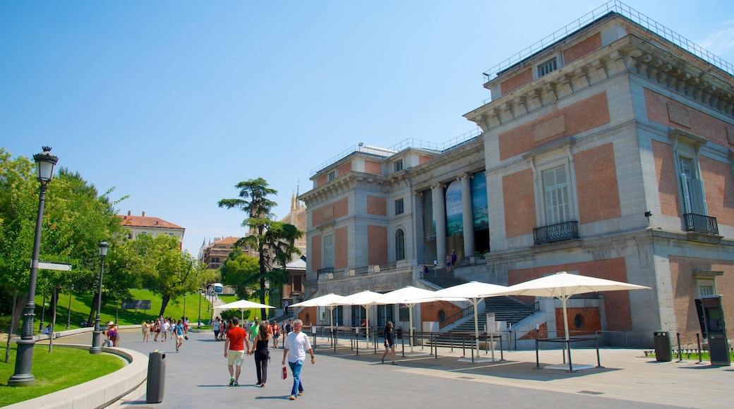 Prado Museum showing street scenes