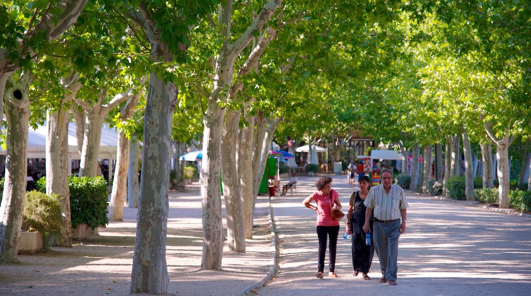 Spain which includes a park as well as a small group of people