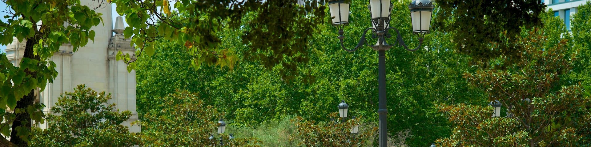 スペイン広場 どの含み 庭園 と 広場 及び 少数の人々