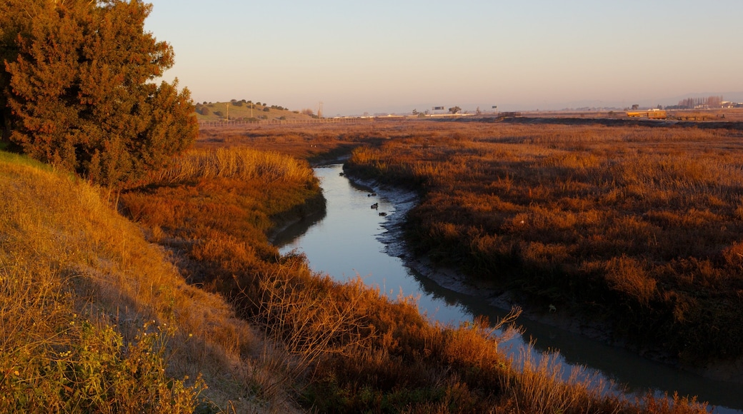 San Jose - Silicon Valley showing a sunset, landscape views and tranquil scenes