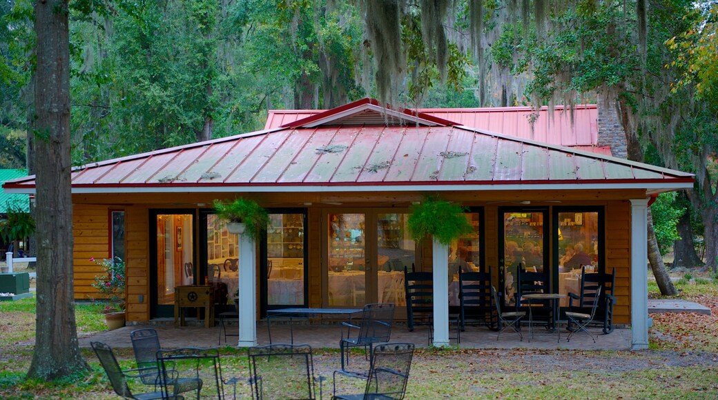 Hopsewee Plantation showing forests and a house