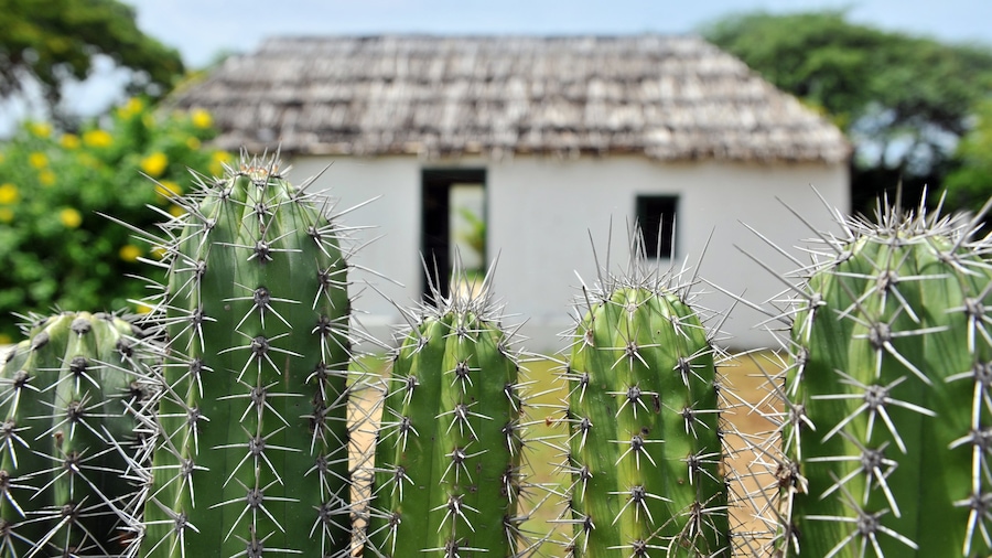Curaçao mostrando paesaggi rilassanti e casa