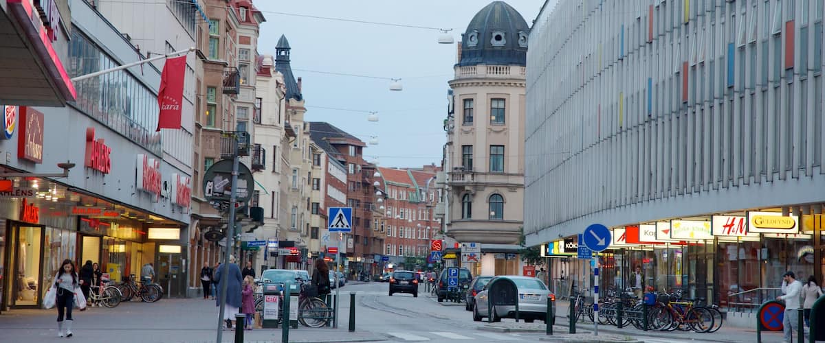 Malmo ofreciendo escenas urbanas y una ciudad