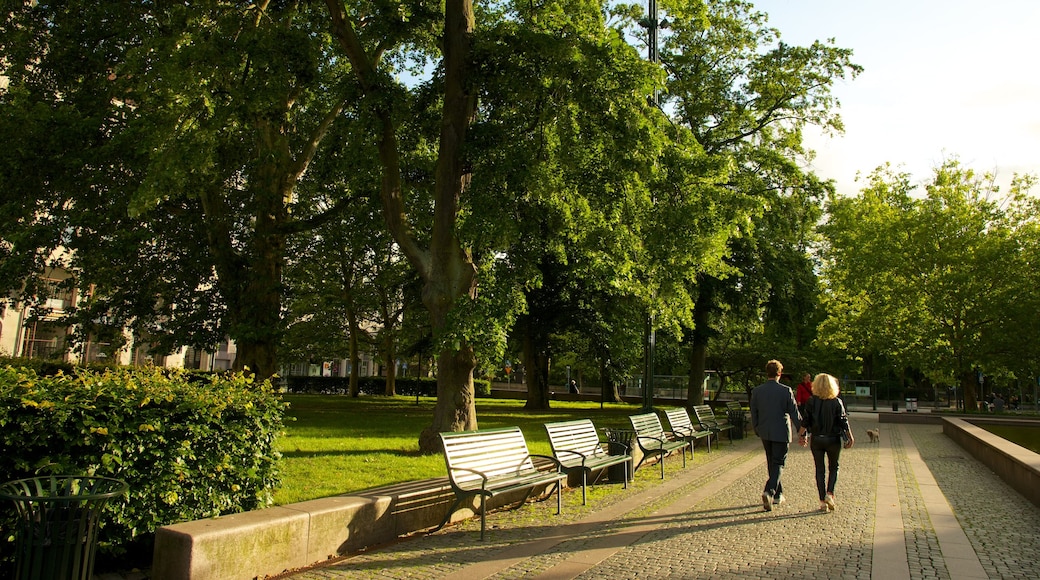 Piazza Gustavo Adolfo che include giardino cosi come coppia