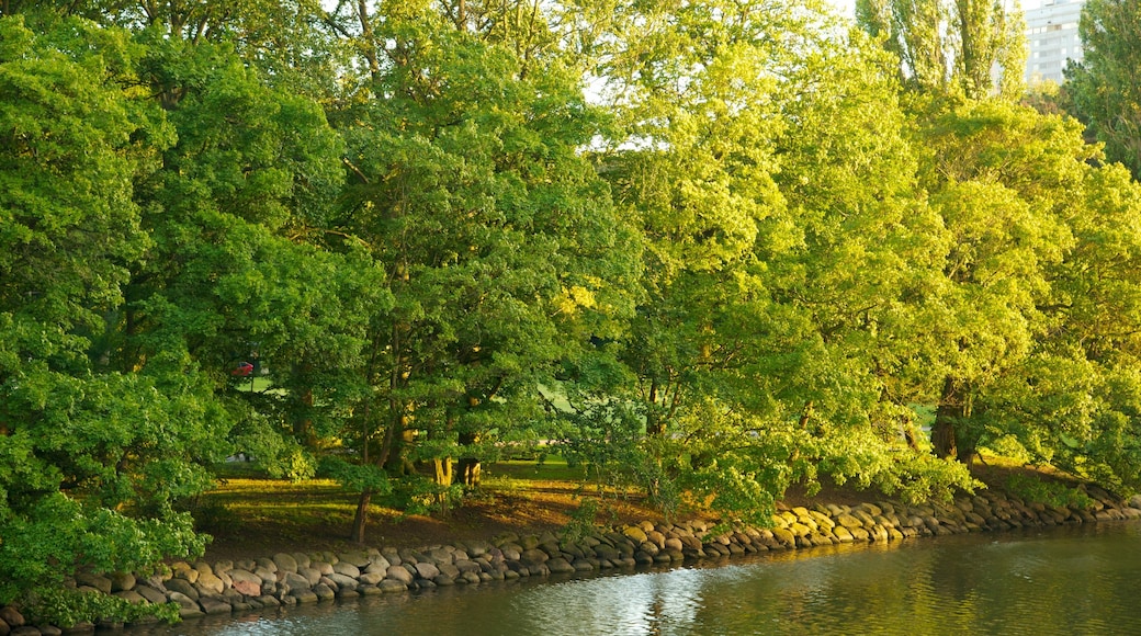 Kungsparken which includes a garden and a pond