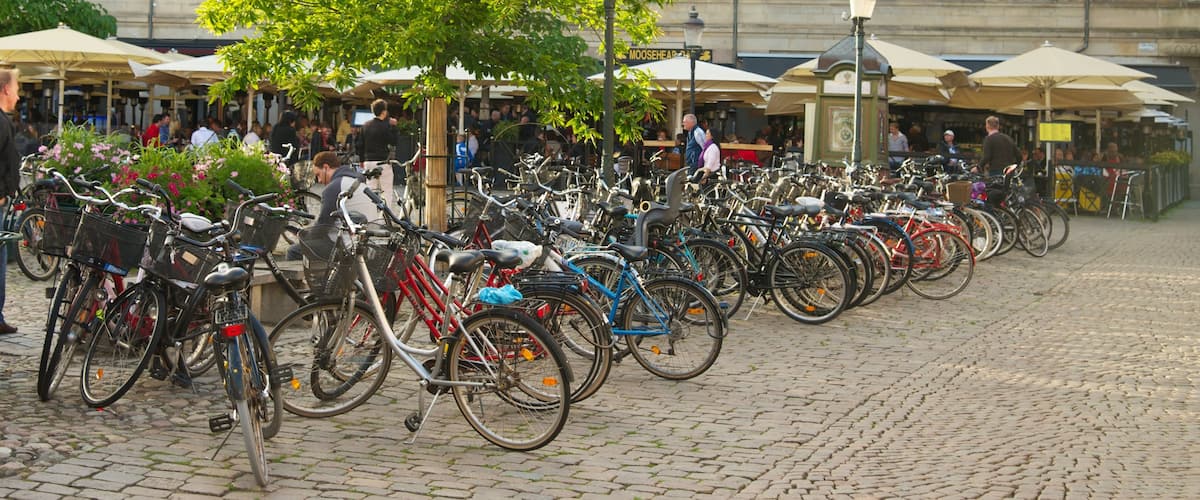Lilla Torg que incluye un parque o plaza, escenas de café y una ciudad