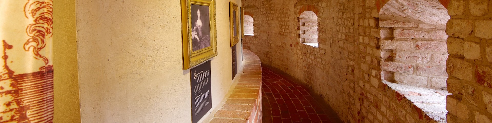 Malmo Castle showing art, interior views and heritage elements