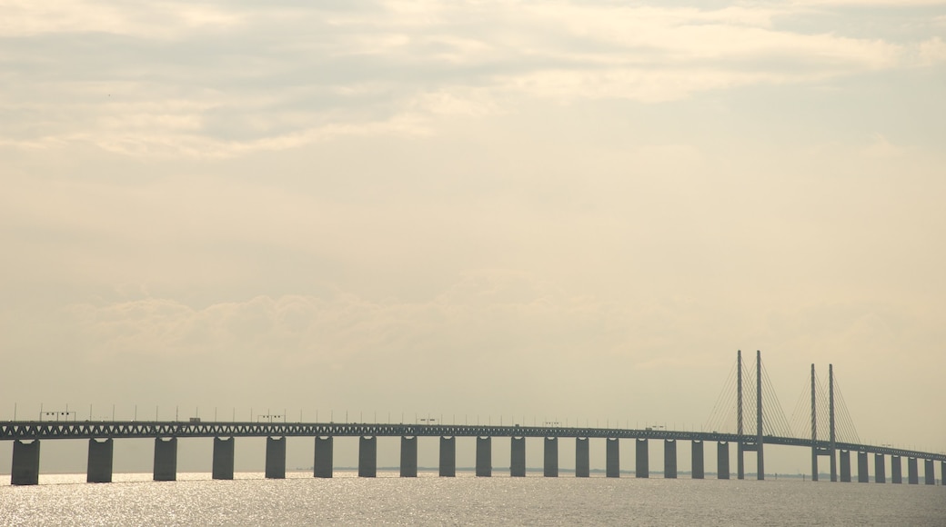 Oresund Bridge which includes general coastal views and a bridge