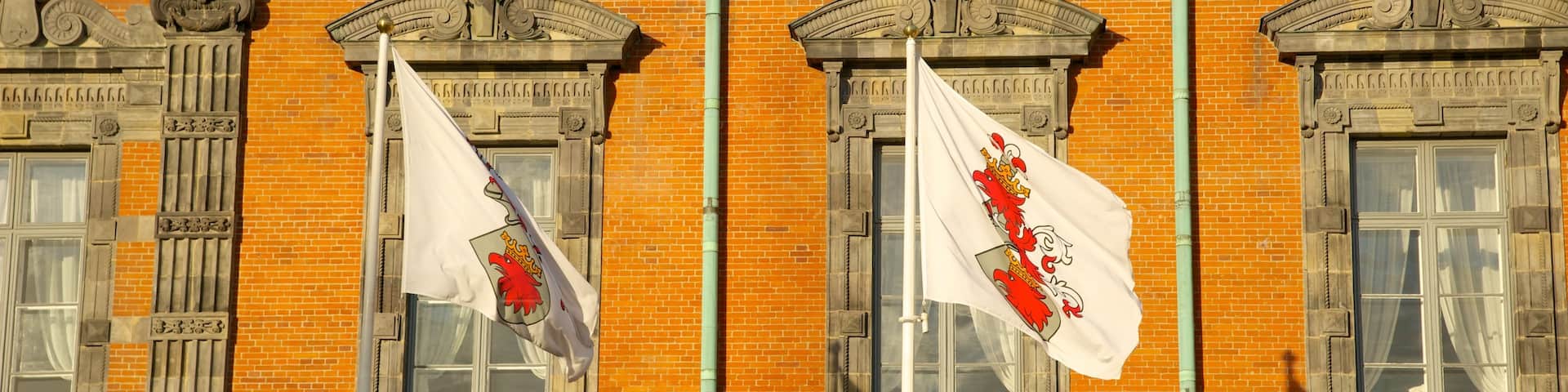 Malmo Town Hall featuring an administrative buidling and heritage architecture
