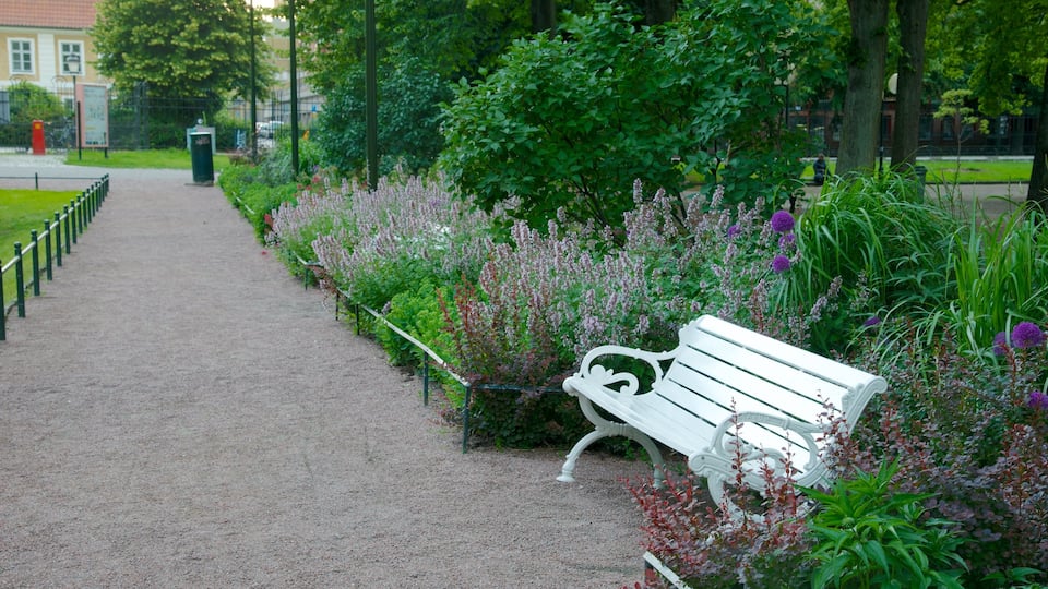 Mollevangen showing wildflowers and a park