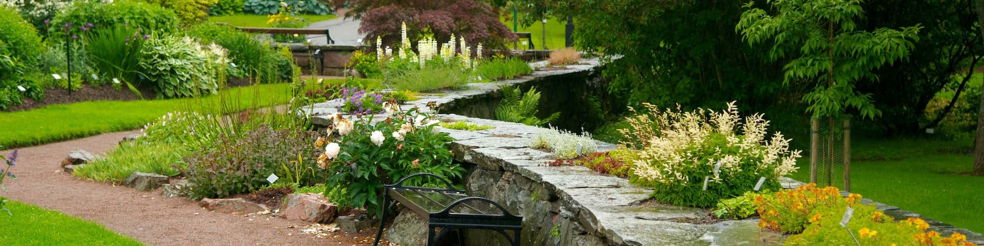 Botanic Gardens showing a park