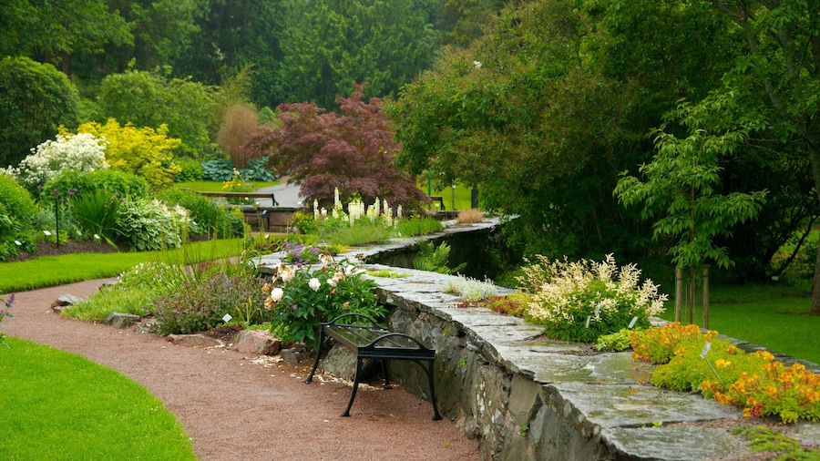Botanic Gardens featuring a garden