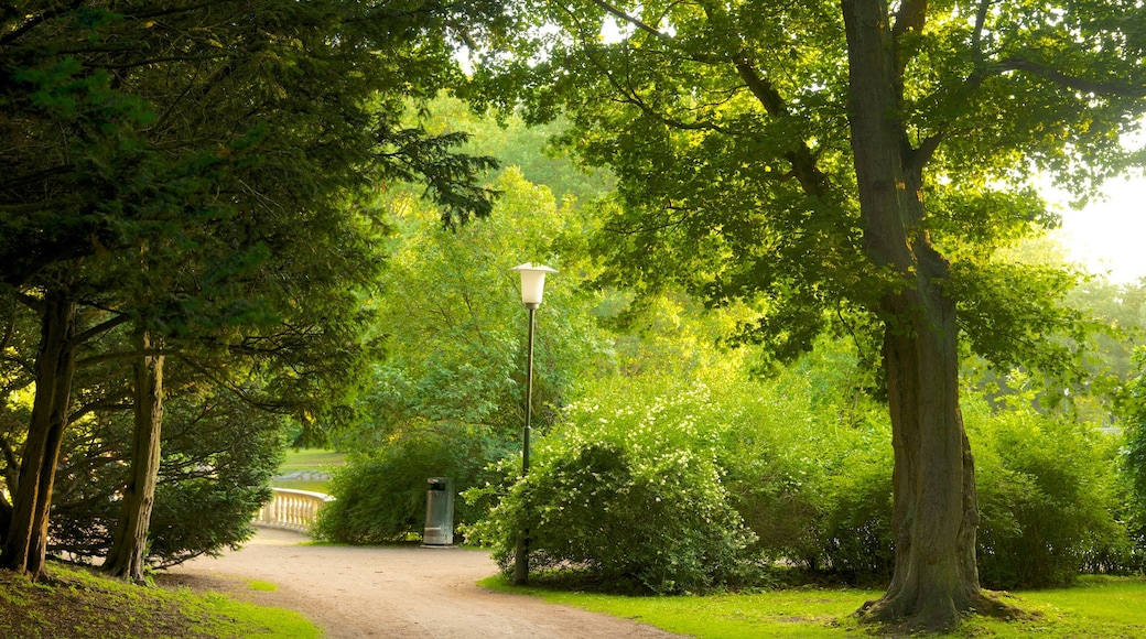 Kungsparken som inkluderer hage