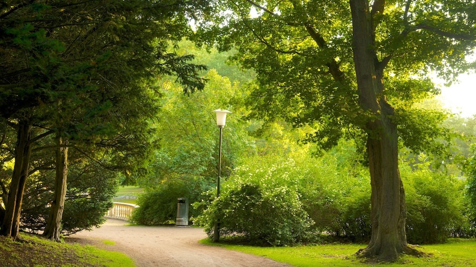 Kungsparken featuring a garden