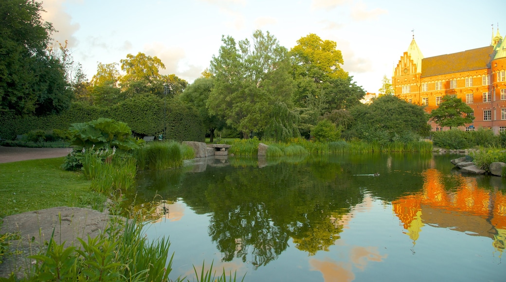 Kungsparken que incluye un estanque y un jardín