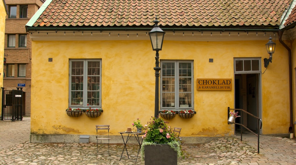 Kronhuset showing a house and heritage elements