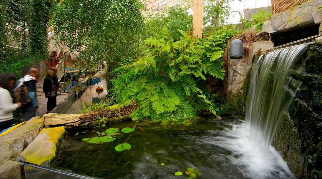 Universeum bevat een park en een vijver