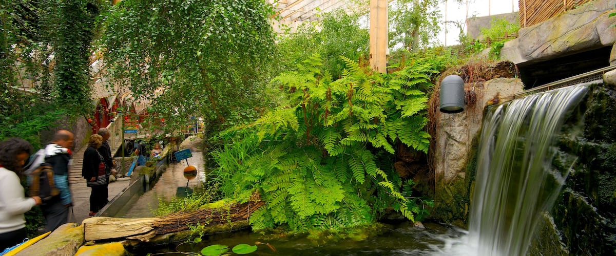 Universeum mettant en vedette mare et jardin