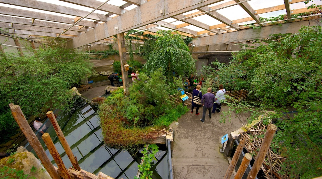 Universeum bevat een park en interieur