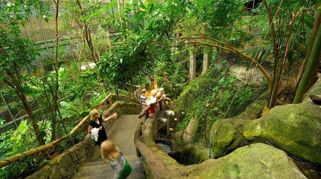 Universeum showing a garden