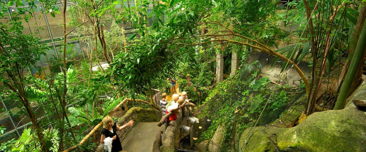 Universeum som viser en have