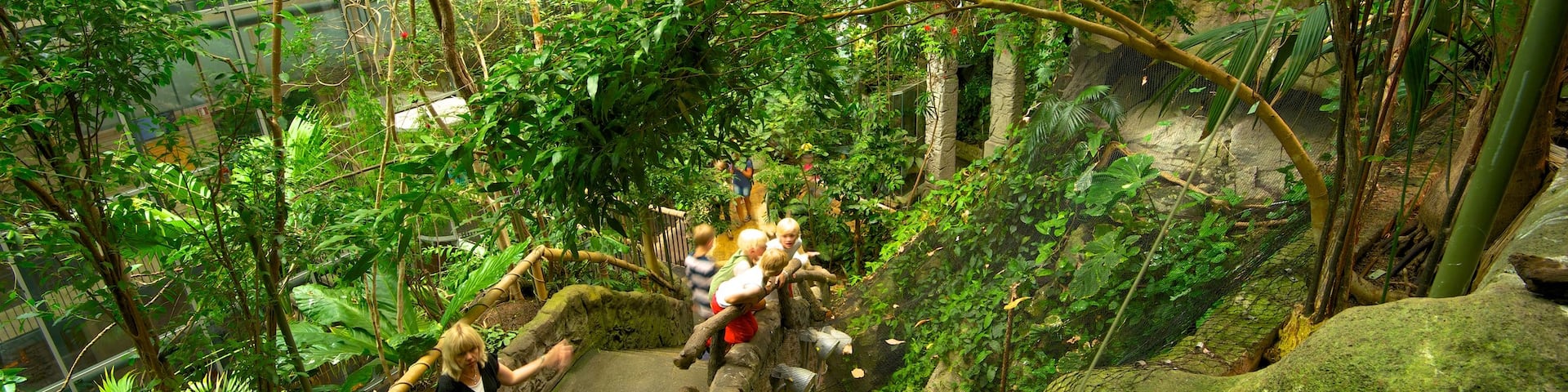 Universeum showing a garden