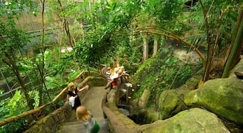 Universeum which includes a park