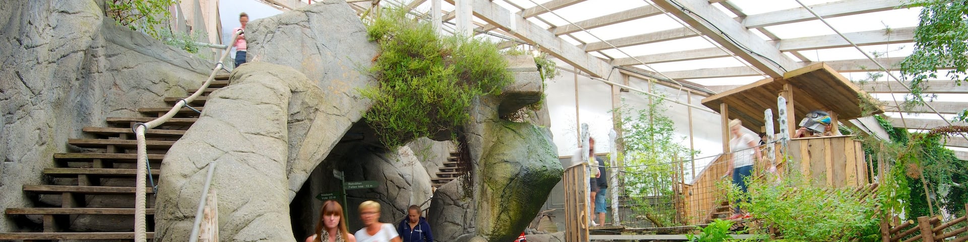 Universeum showing interior views and marine life as well as a small group of people